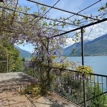 Rustico Dei Vini Domaso